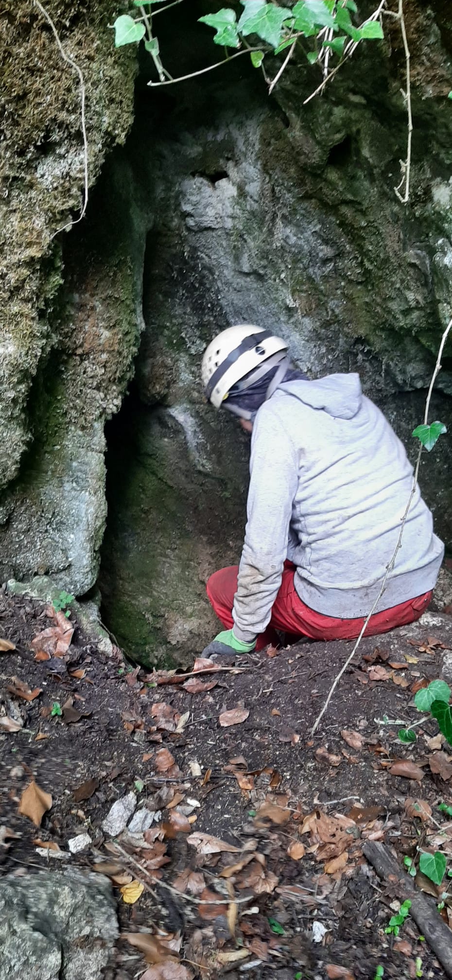 Pestera cu Borna - Image 1